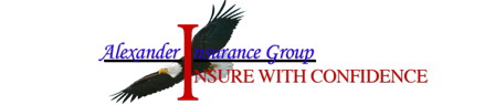 Alexander Insurance Group / First Metro SW logos